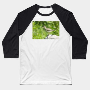 Sandpiper Baseball T-Shirt